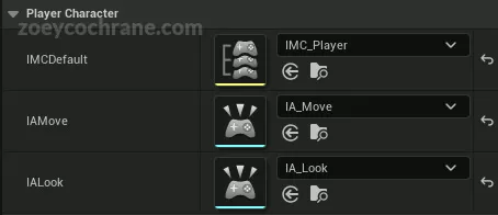 Setting Input Action Variables in Blueprint